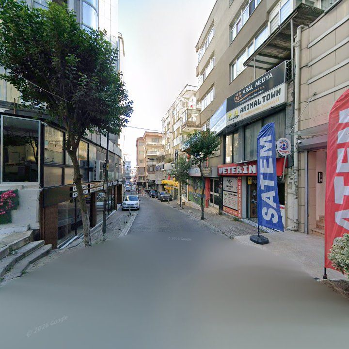 Fotoğraf 19