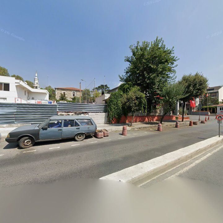Fotoğraf 8