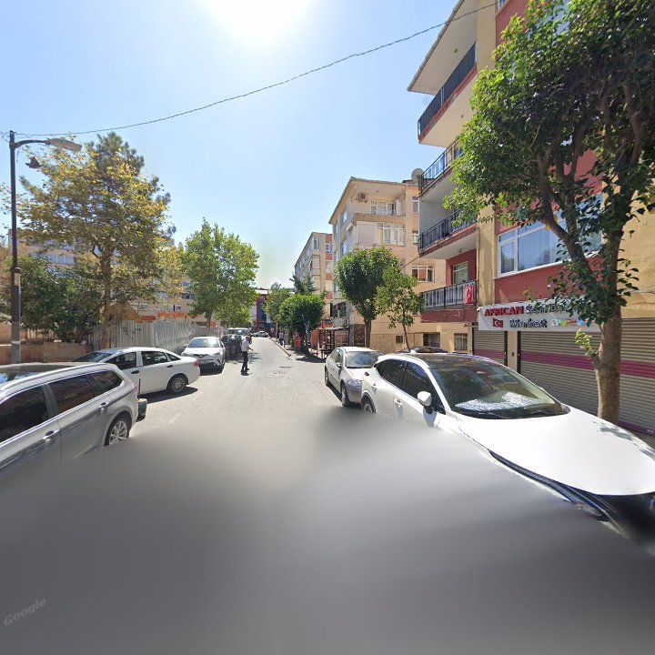 Fotoğraf 8