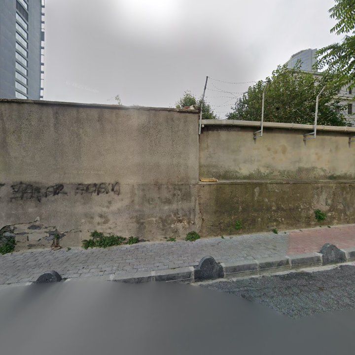 Fotoğraf 15