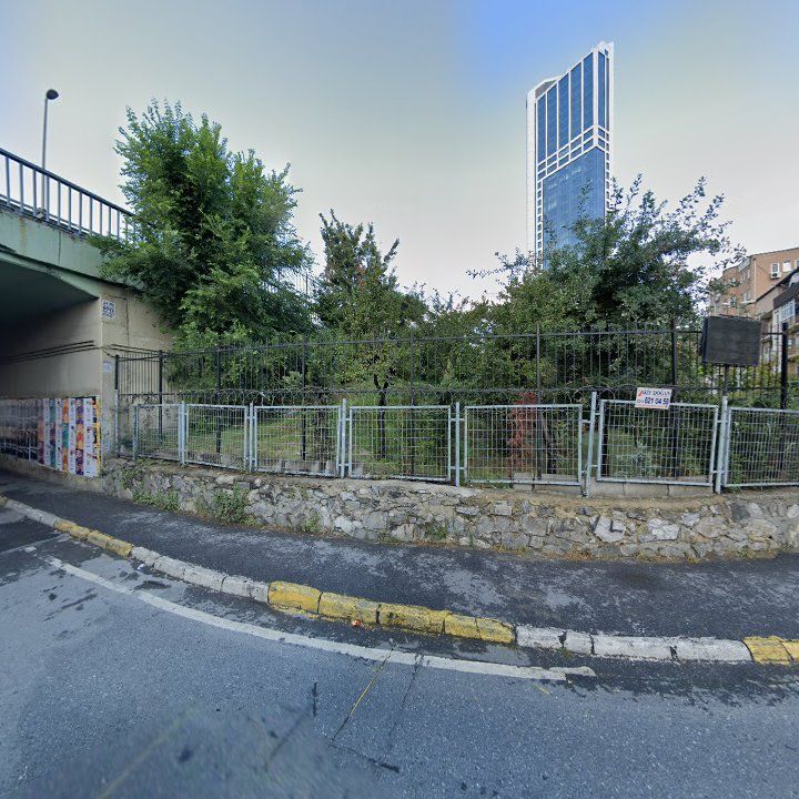 Fotoğraf 10