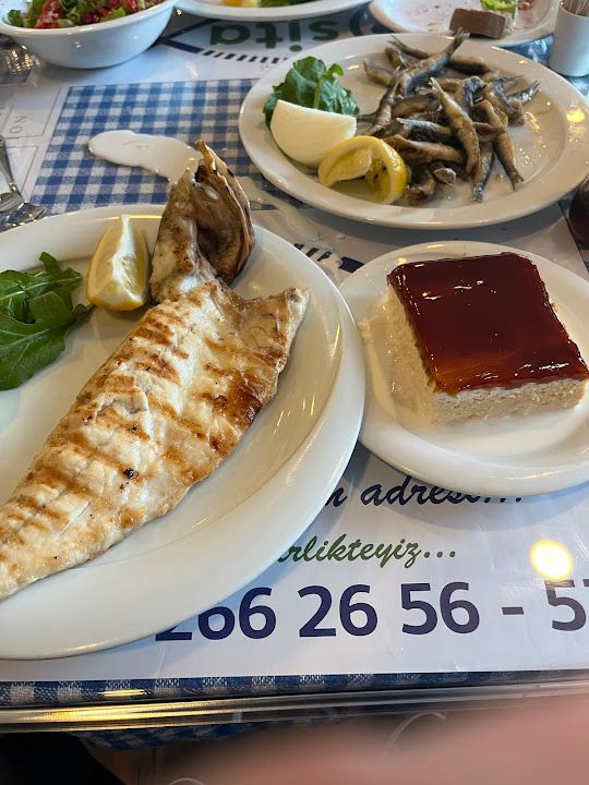 Fotoğraf 22