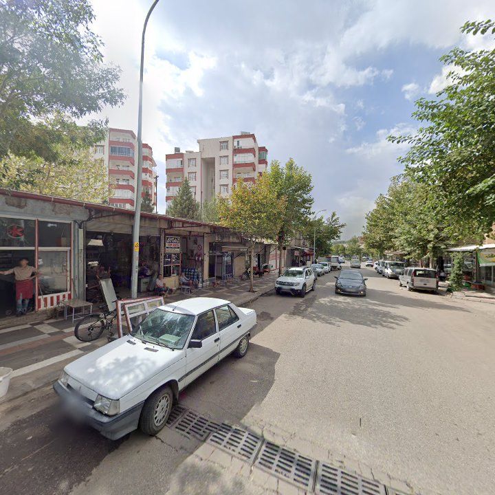 Fotoğraf 6