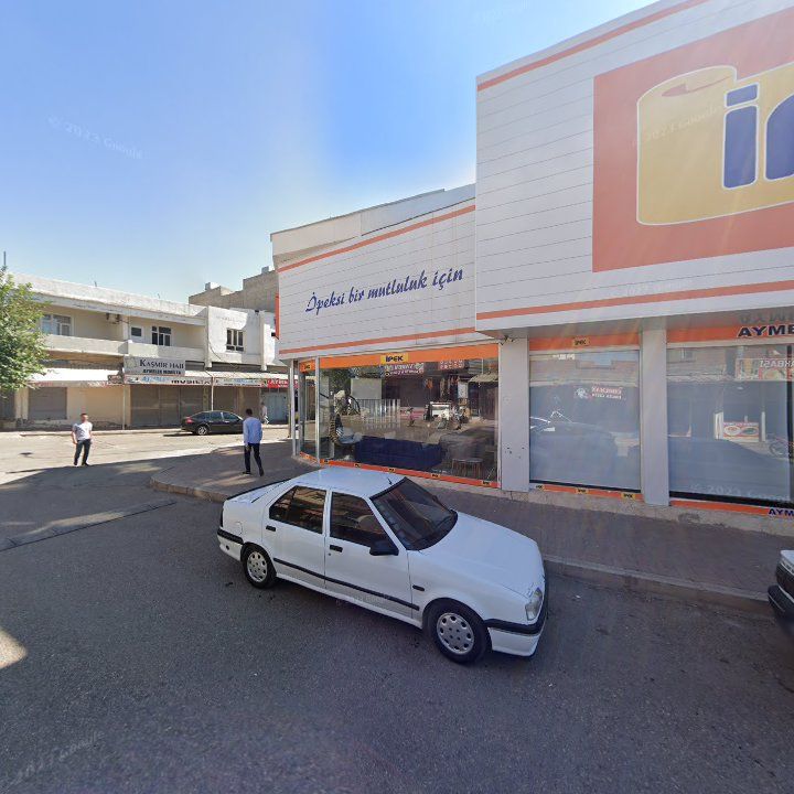 Fotoğraf 6