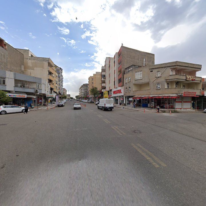 Fotoğraf 7
