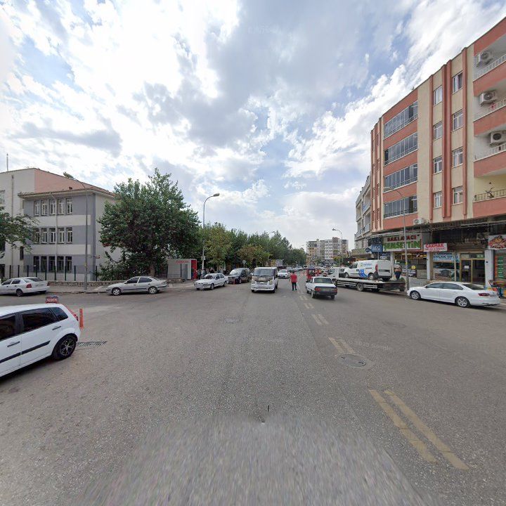 Fotoğraf 10