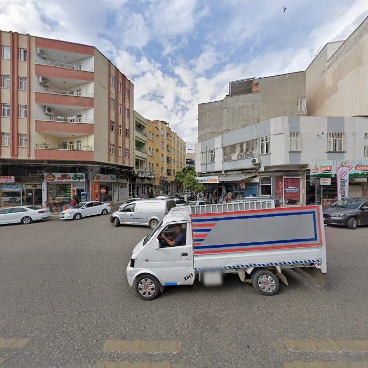 Fotoğraf 11