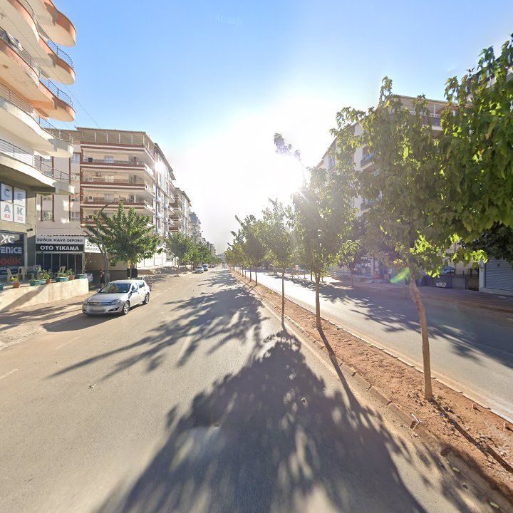 Fotoğraf 9