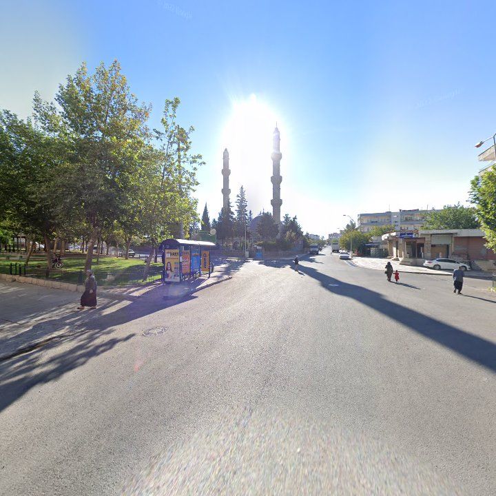 Fotoğraf 7