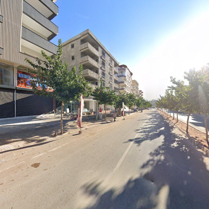 Fotoğraf 7