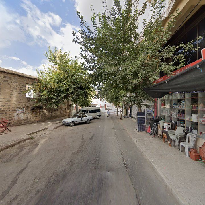 Fotoğraf 7