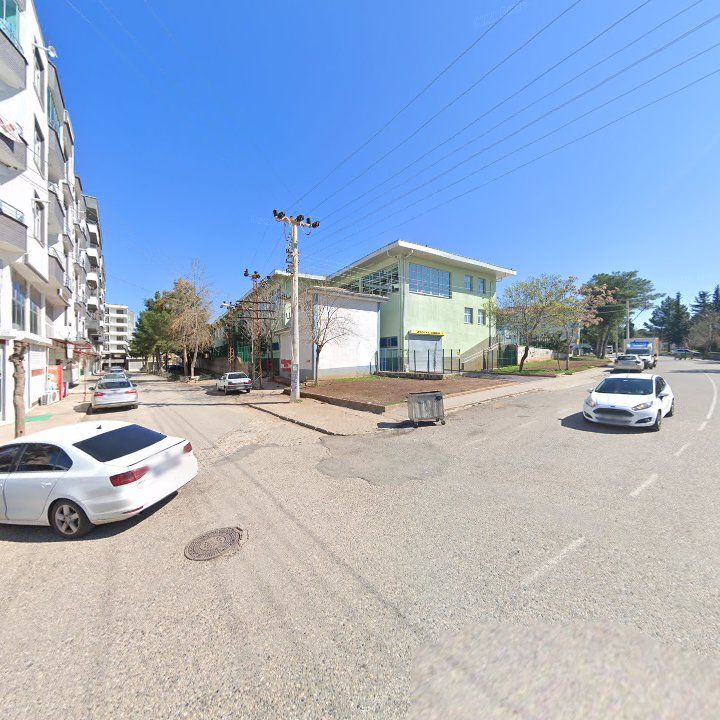 Fotoğraf 6