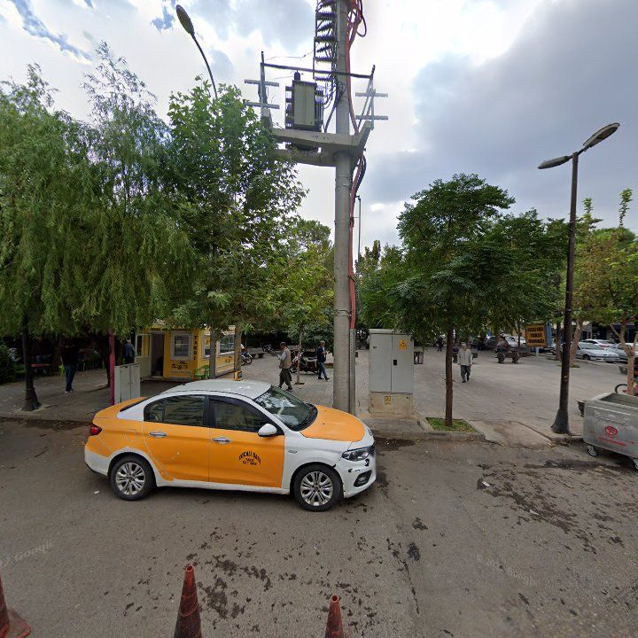 Fotoğraf 8