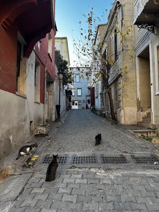 Yorum fotoğrafı 3