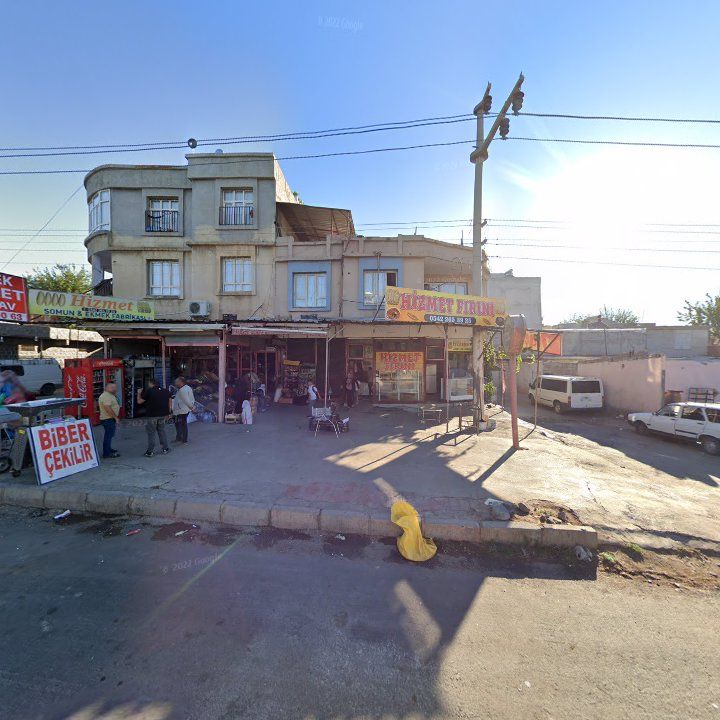 Fotoğraf 3
