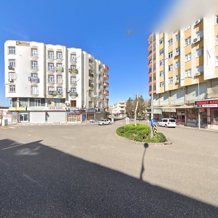 Fotoğraf 15