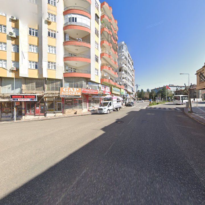 Fotoğraf 12