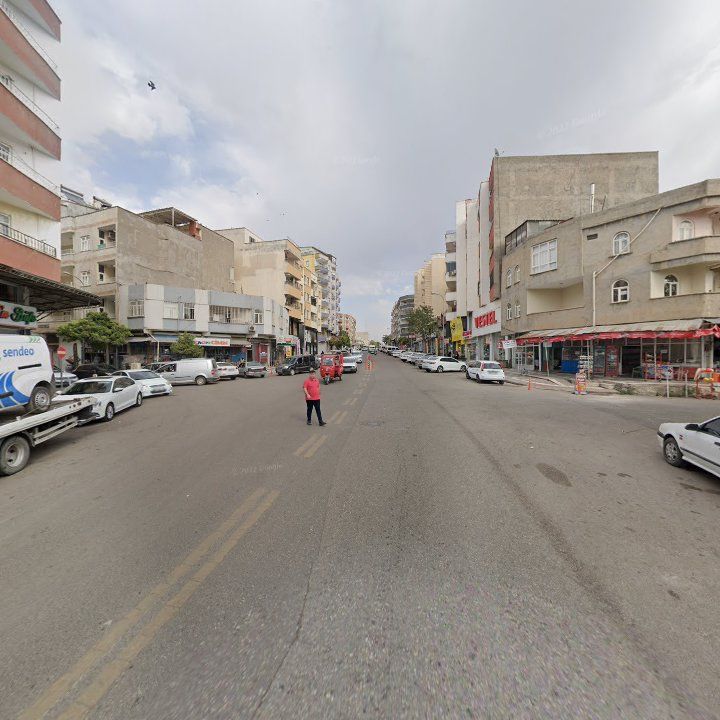 Fotoğraf 9