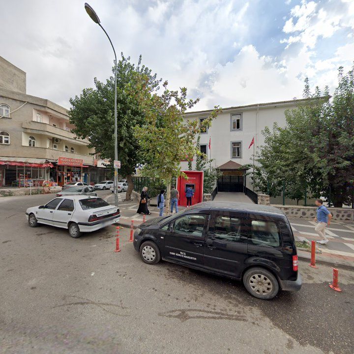 Fotoğraf 10