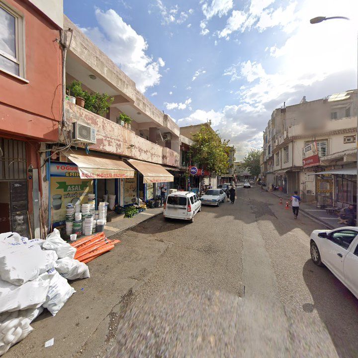 Fotoğraf 3