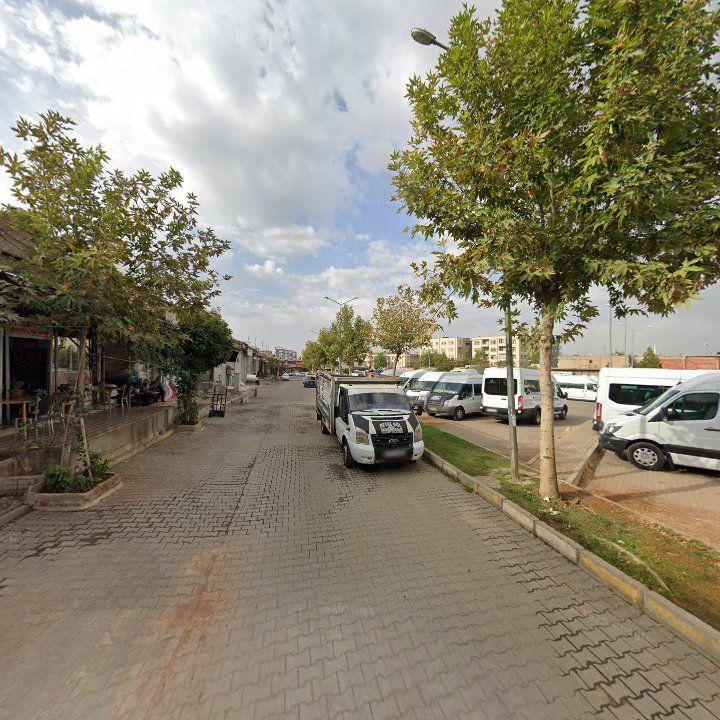 Fotoğraf 6