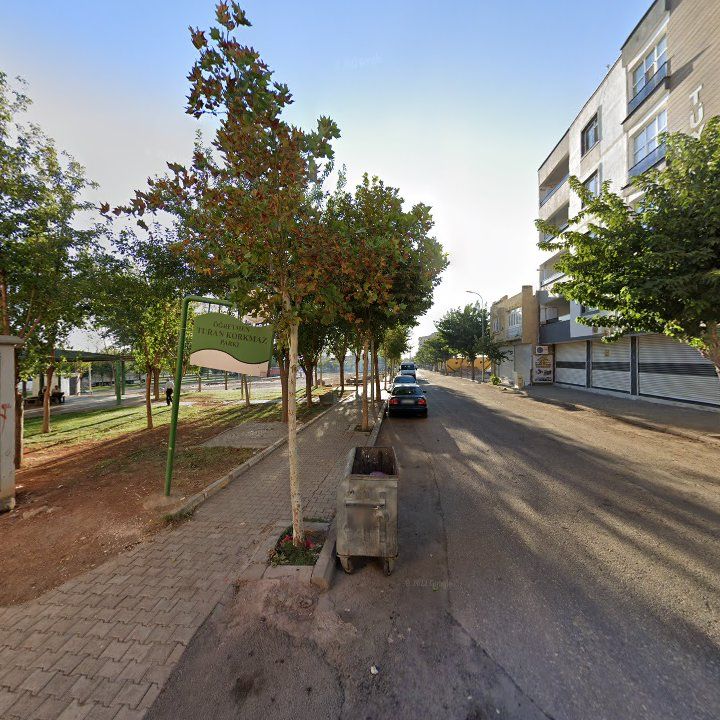Fotoğraf 5