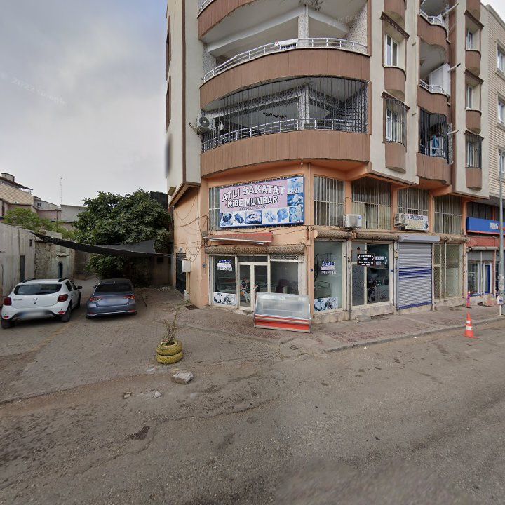 Fotoğraf 9