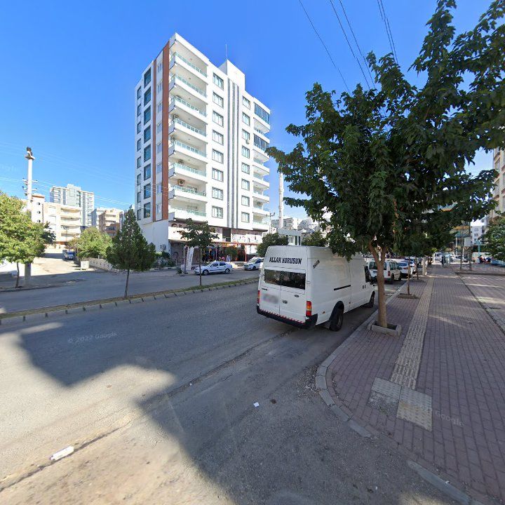 Fotoğraf 7