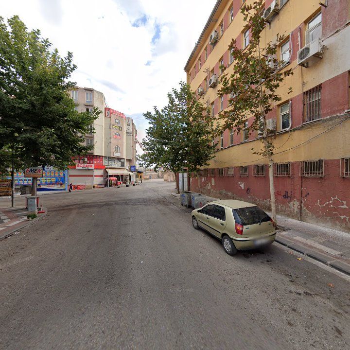 Fotoğraf 10