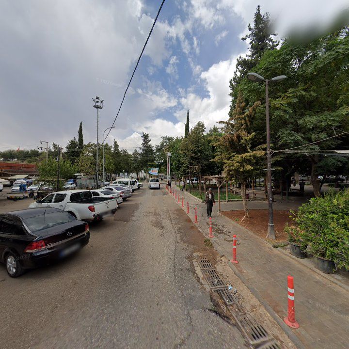 Fotoğraf 10