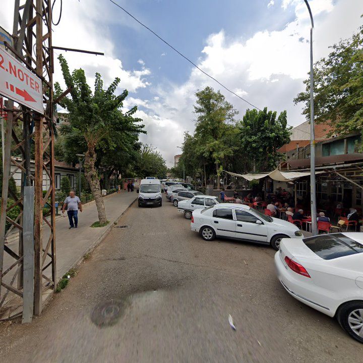 Fotoğraf 12
