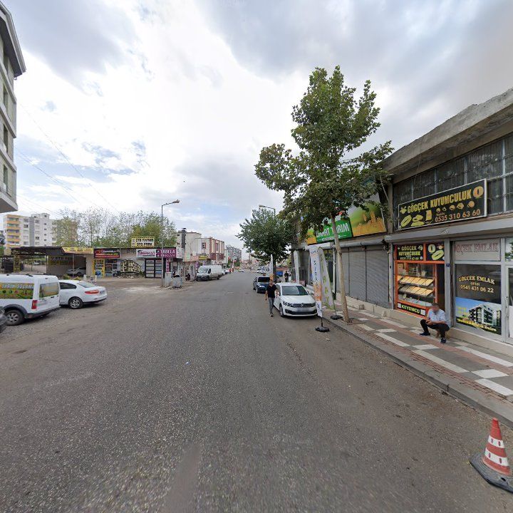 Fotoğraf 12