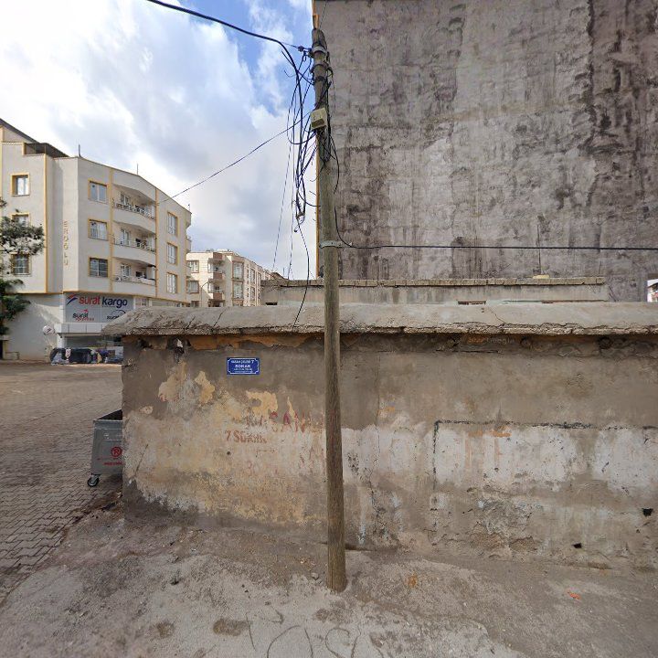 Fotoğraf 8