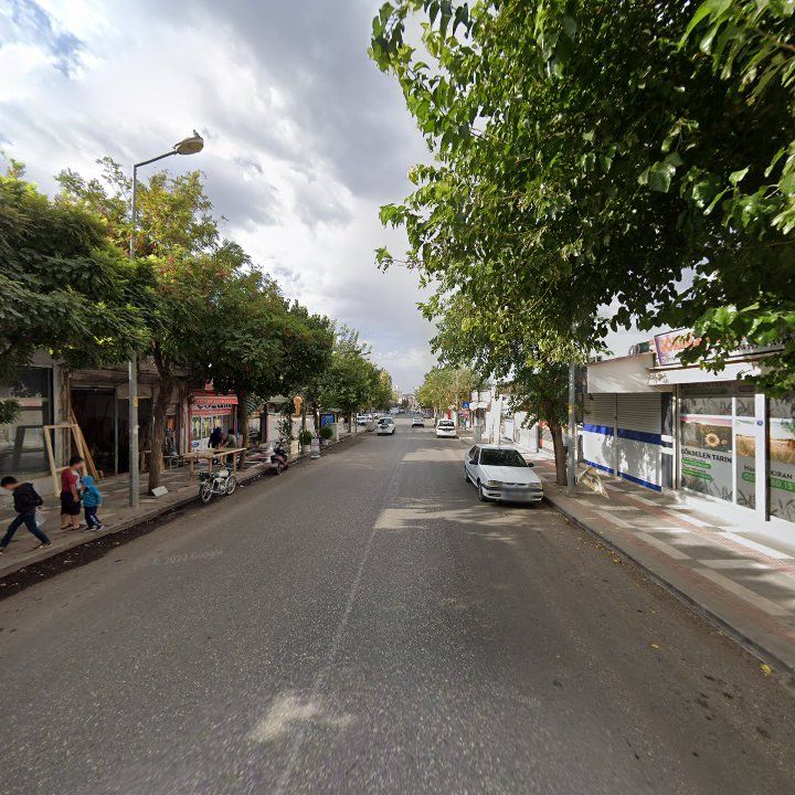 Fotoğraf 11