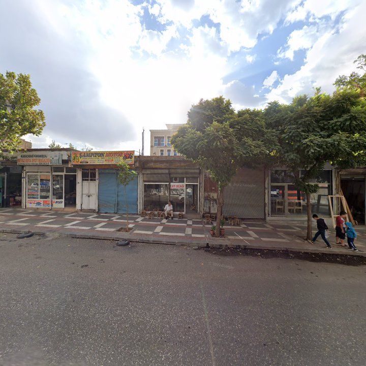 Fotoğraf 10