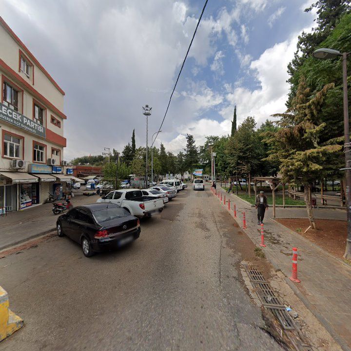 Fotoğraf 4