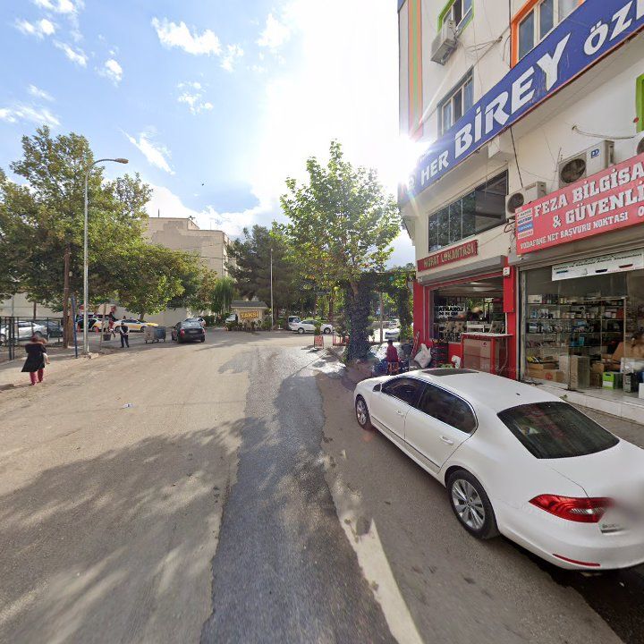 Fotoğraf 7