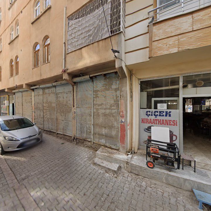 Fotoğraf 6
