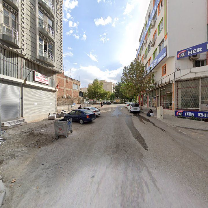 Fotoğraf 10