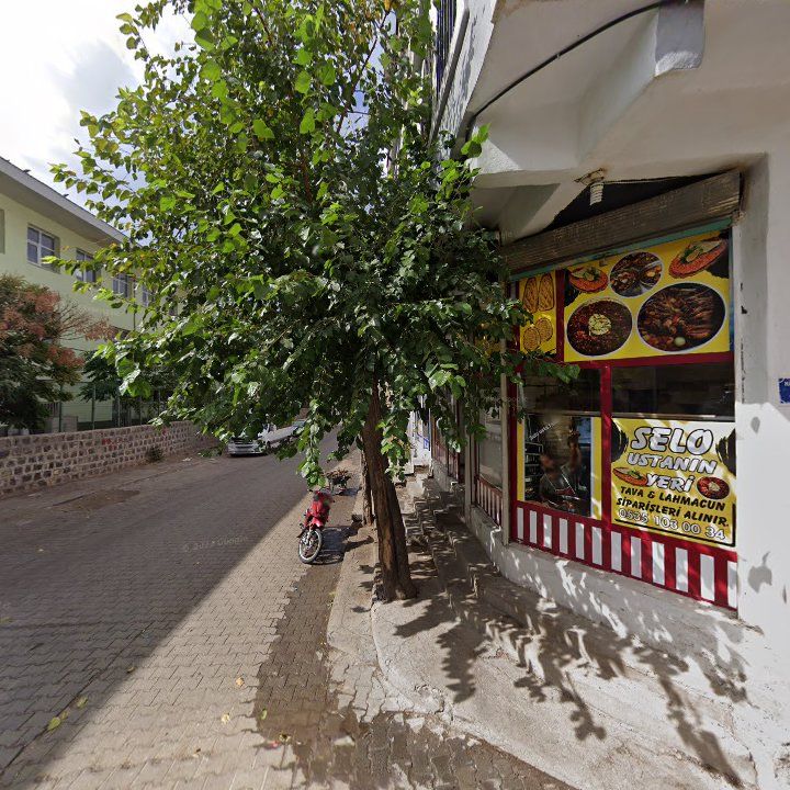 Fotoğraf 10