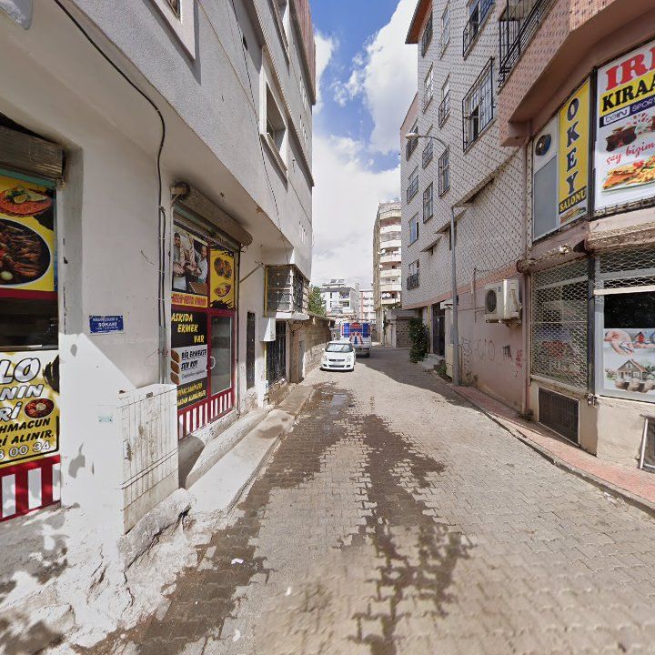 Fotoğraf 11