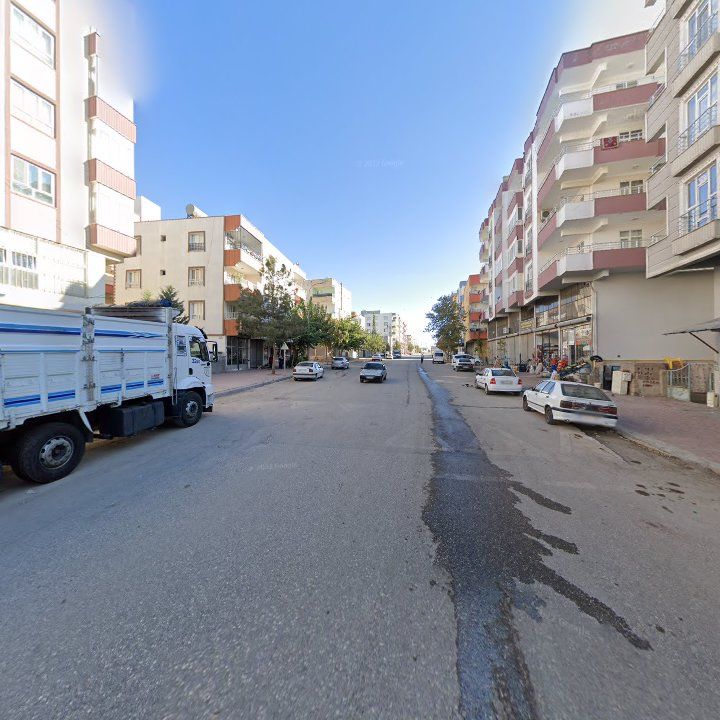 Fotoğraf 8