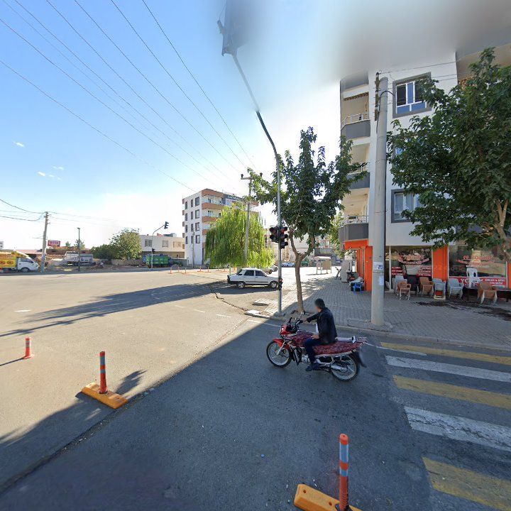 Fotoğraf 9