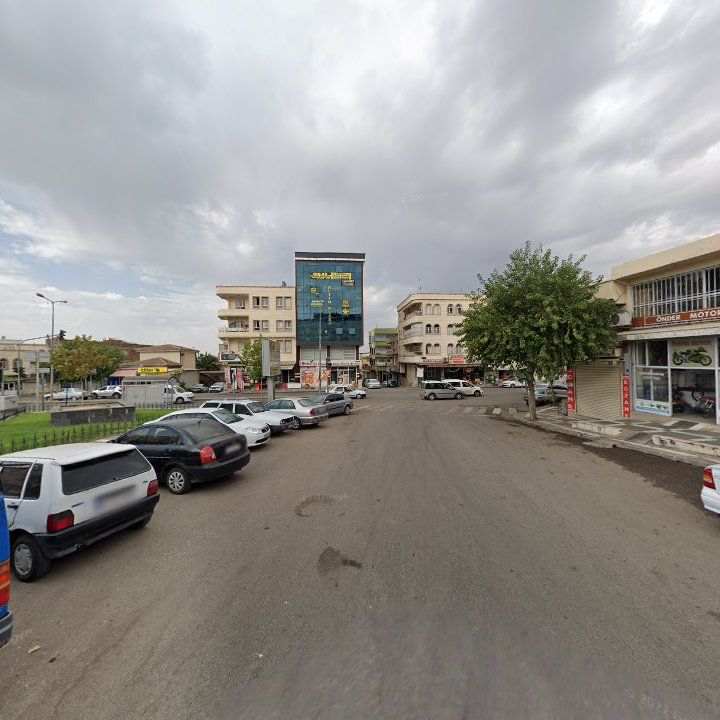 Fotoğraf 7