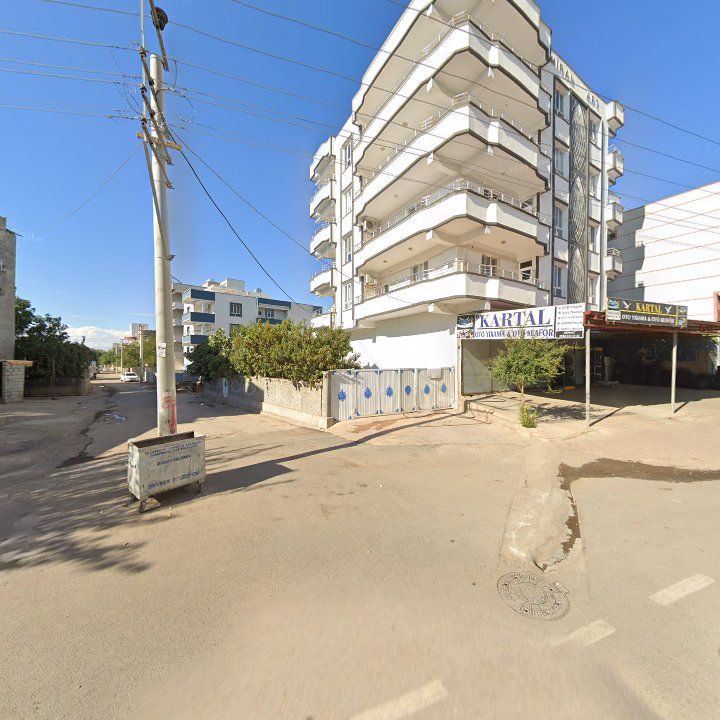 Fotoğraf 3