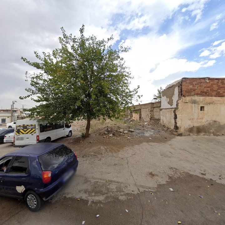 Fotoğraf 8