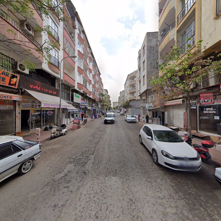 Fotoğraf 6