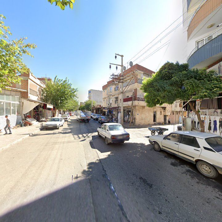 Fotoğraf 9