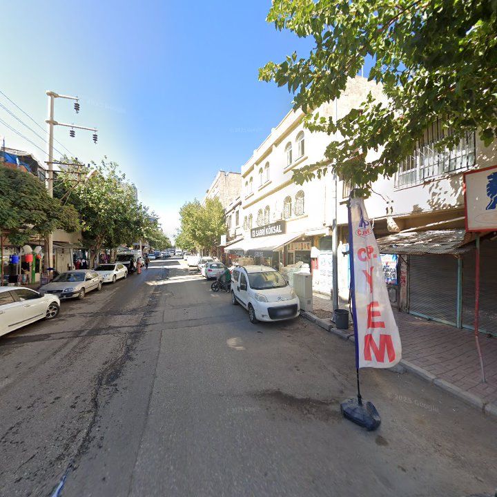 Fotoğraf 7