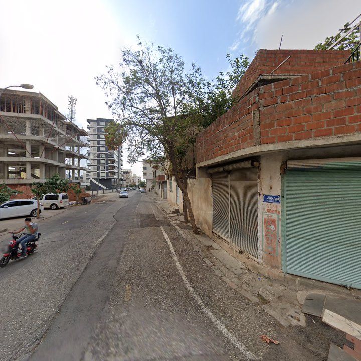 Fotoğraf 7